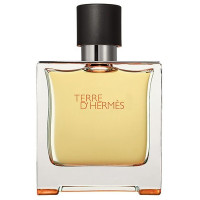 Hermes Terre D&#039;Hermes 100ml TESTER (Оригинал) Туалетная вода